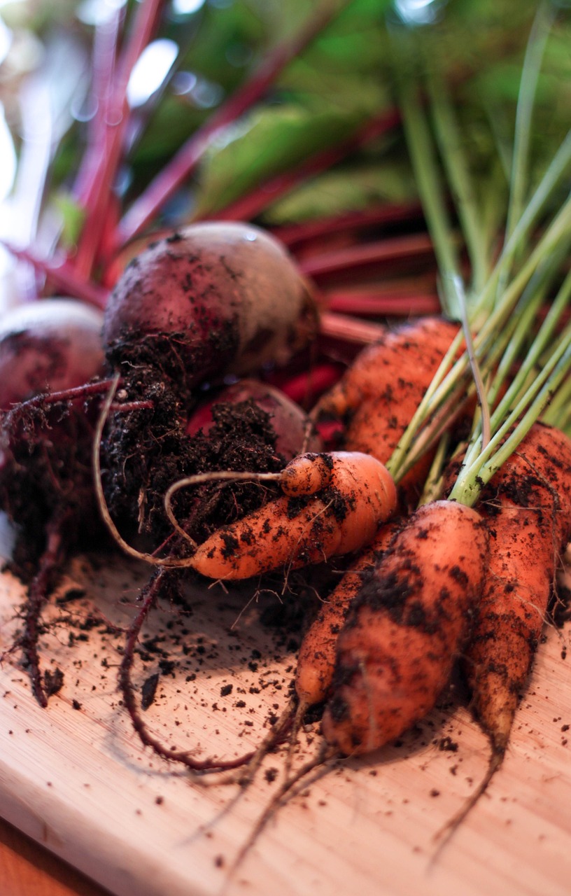 Carottes et betteraves fraîchement récoltées avec de la terre, sur une surface en bois.