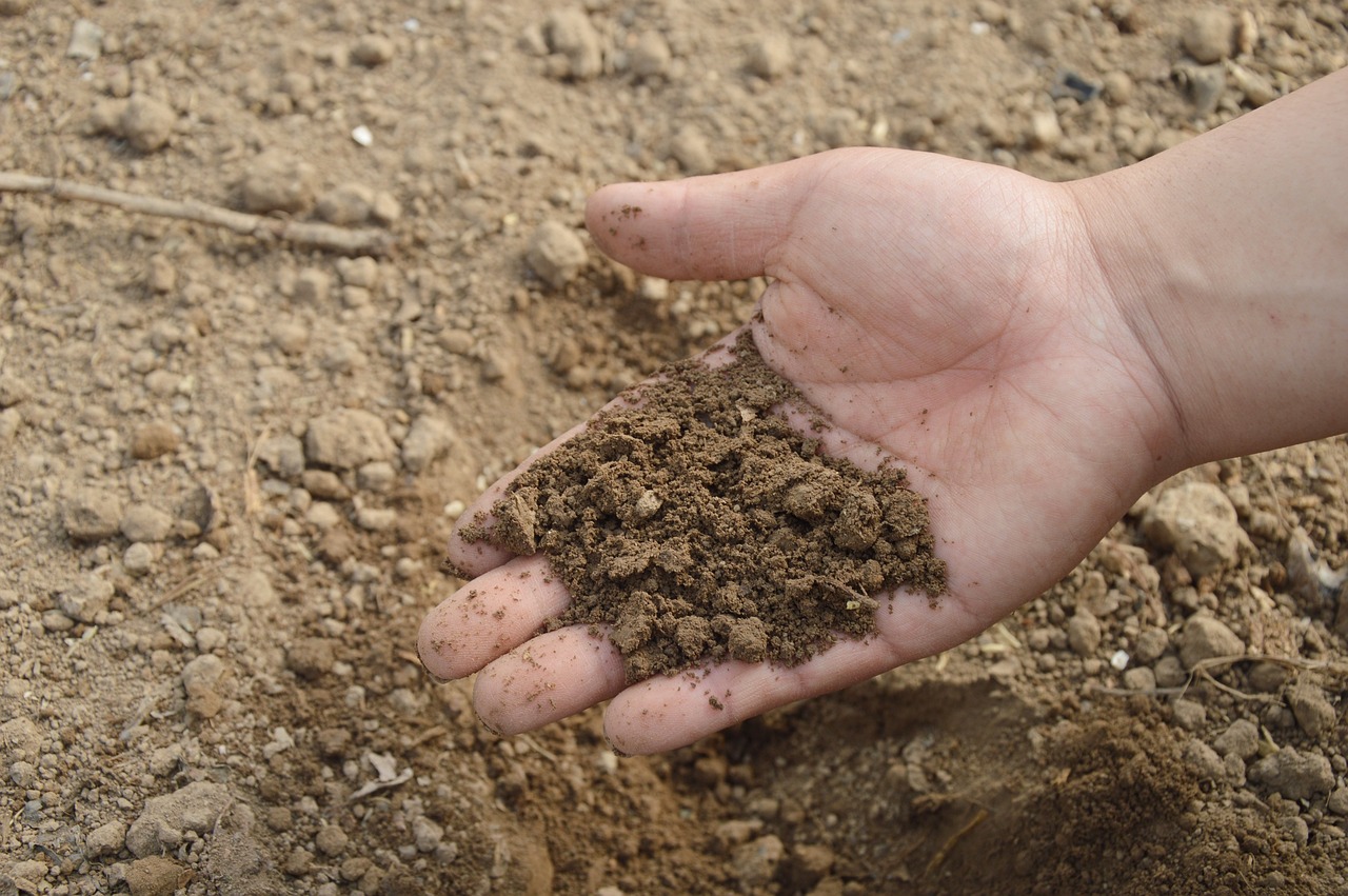 Une main ouverte tenant de la terre riche de jardin avec un arrière-plan flou.